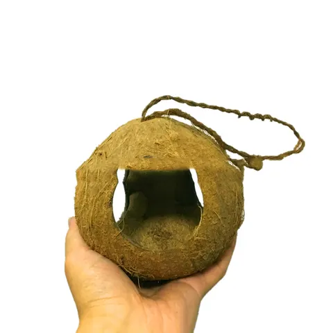 Vogelnest-Futterstelle
