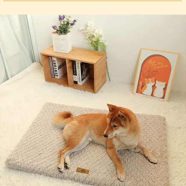 Hundekistenbett 3