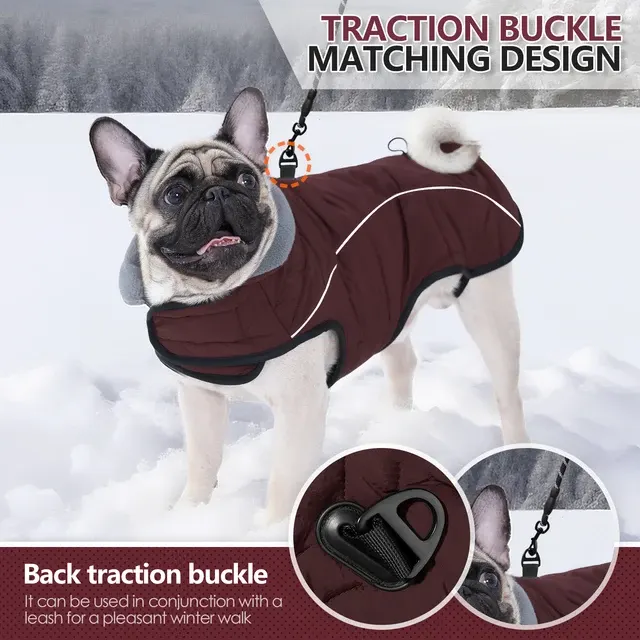 Hunde-Winterjacke 4