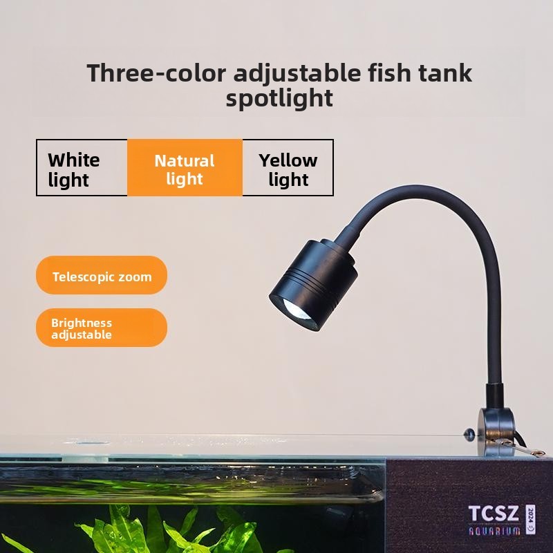 Aquarienlicht 2