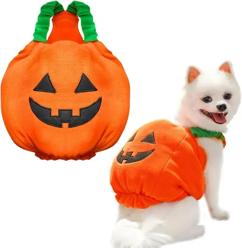 Kürbis-Kostüm für kleine Hunde und Katzen