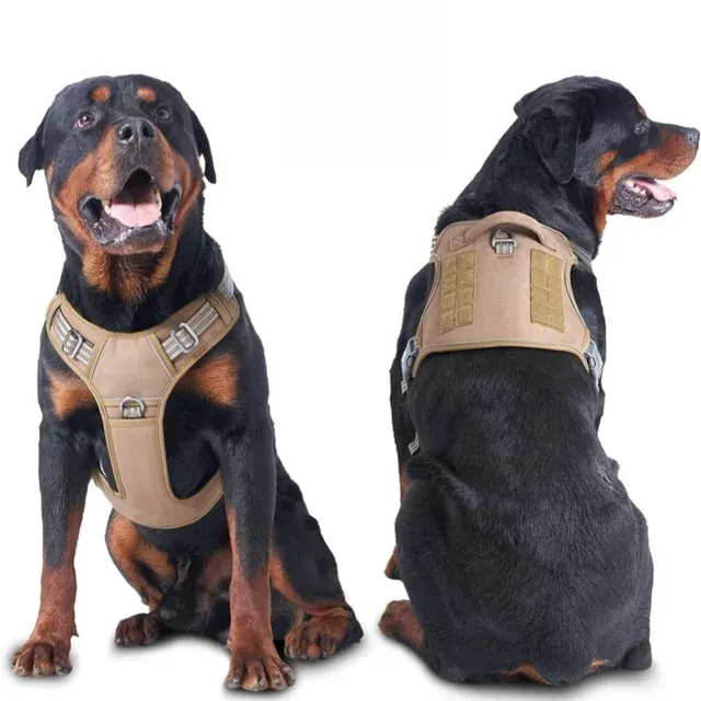 Hunde-Trainingsweste 2