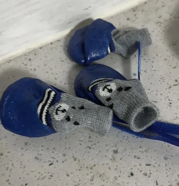 Hundesocken 4