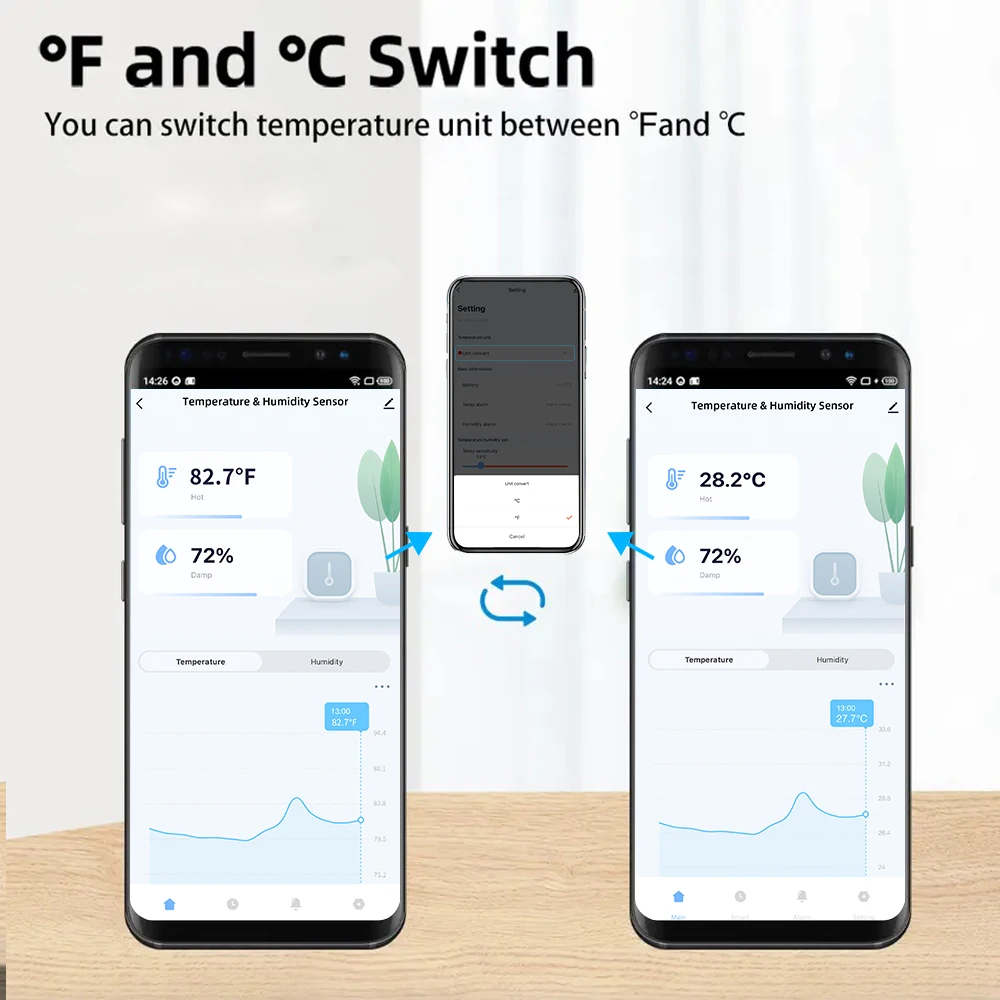 Temperatur-Feuchtesensor 2