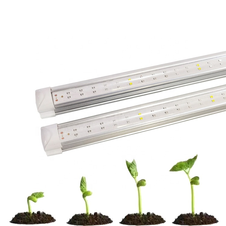 Mikrogrün Anzucht T8 LED Röhrenlampe 2