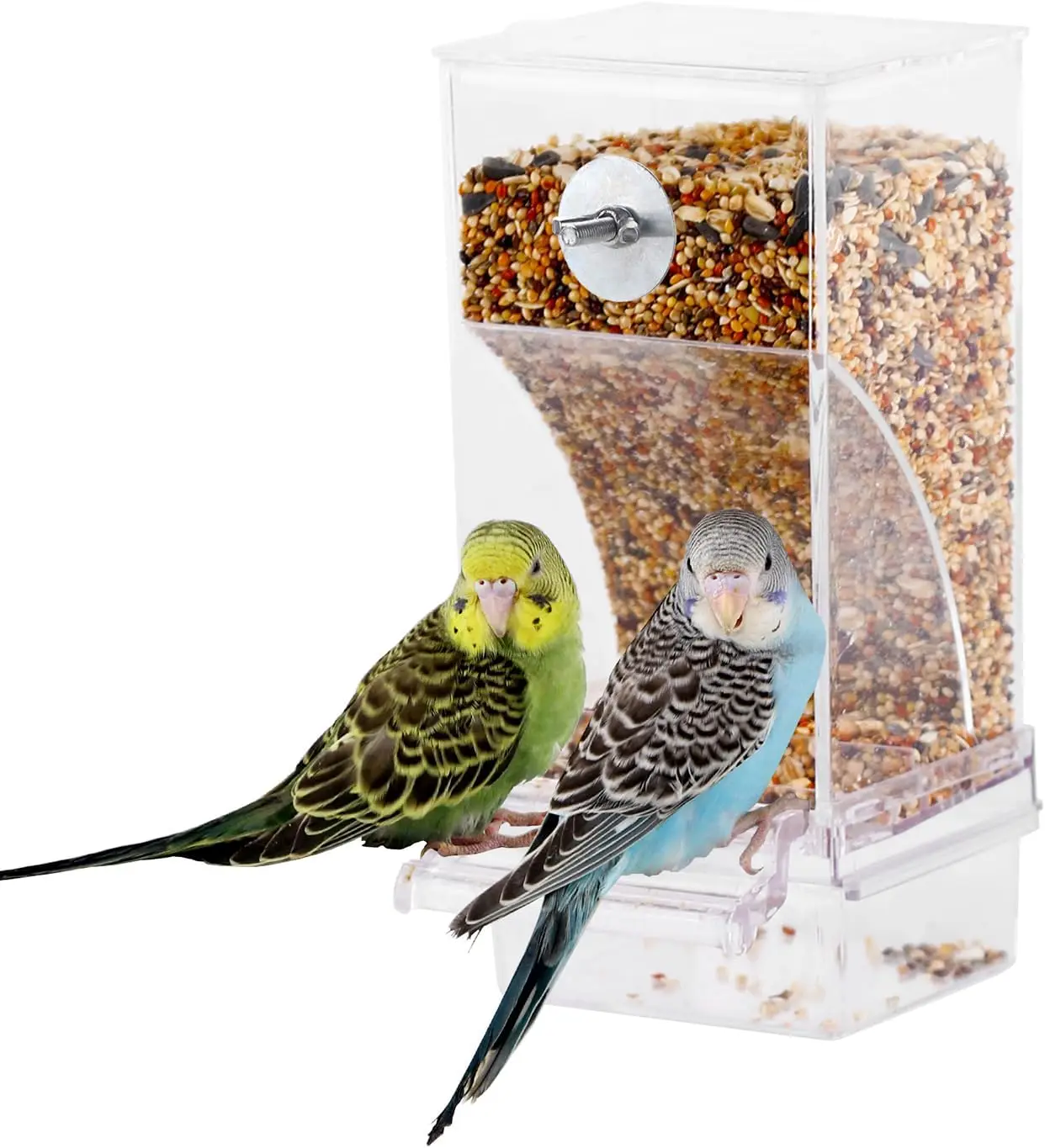 Automatischer transparenter Vogelfutterspender 2