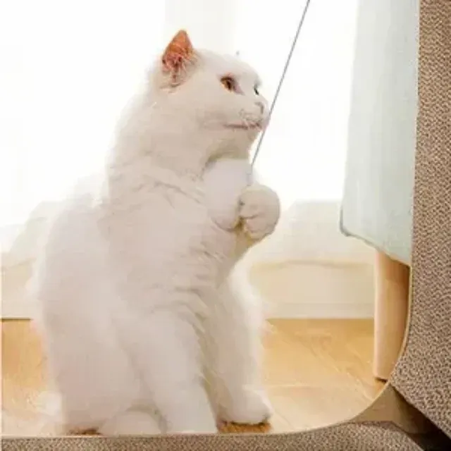 Katzenkratzbrett 3