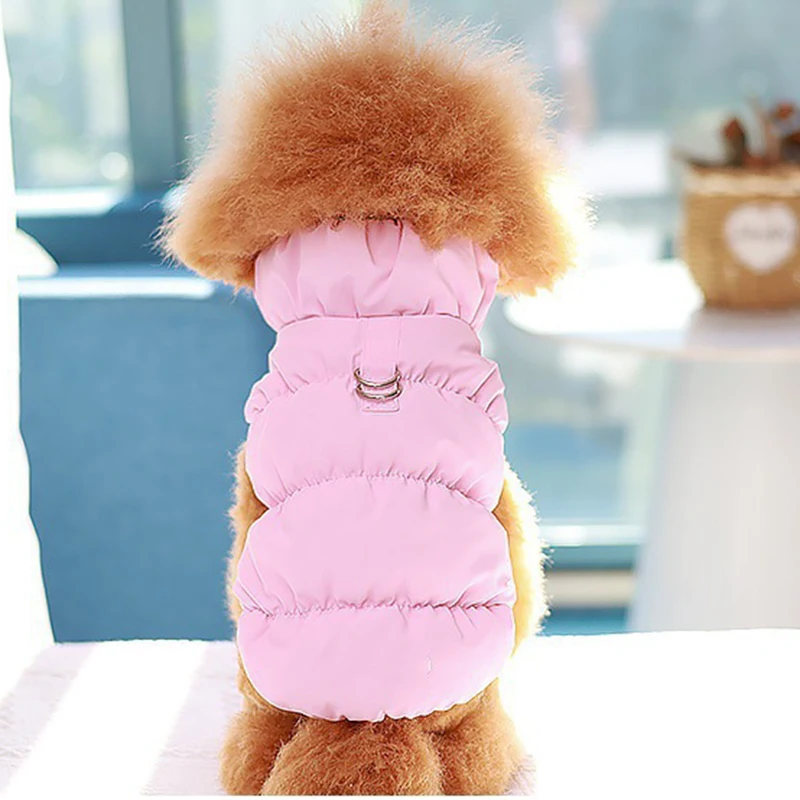 Hundewinterkleidung 2