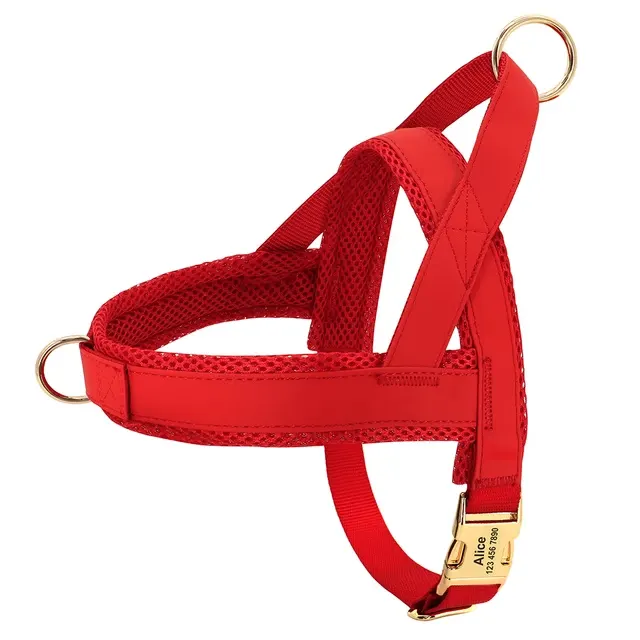 Personalisiertes Hundegeschirr 4