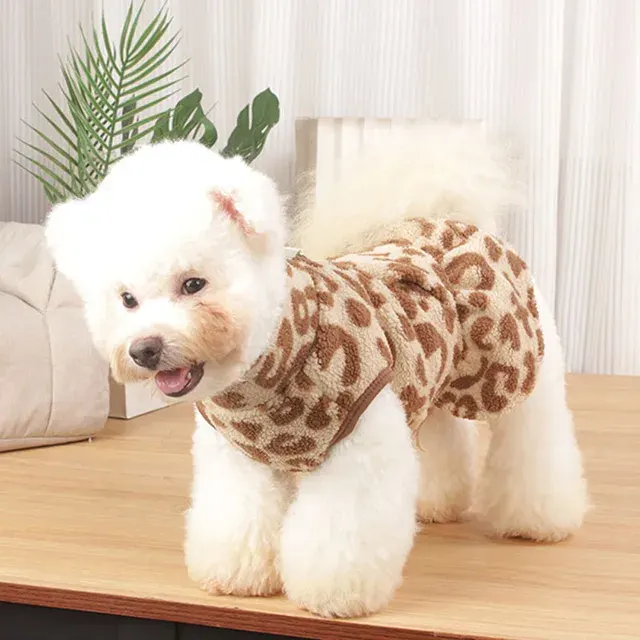 Hundekleid 4