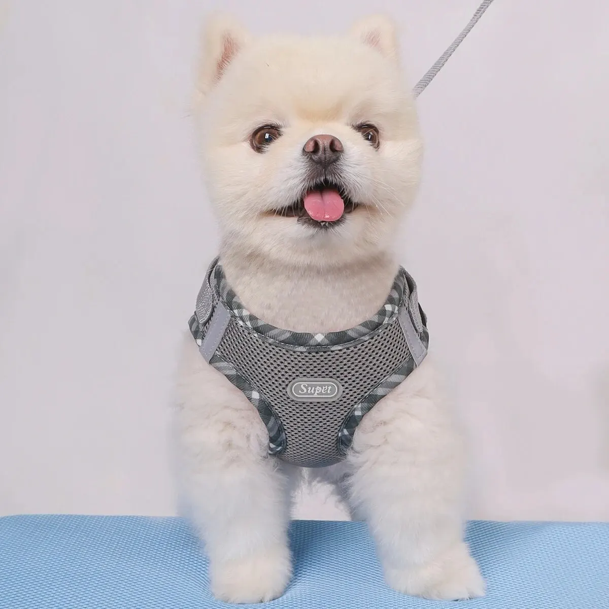 Hundegeschirr 4