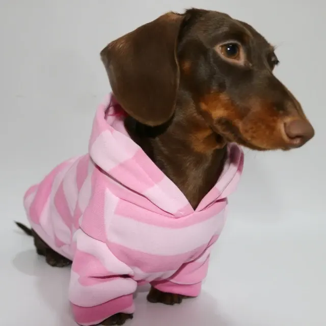 Hunde-Kapuzenpullover 2
