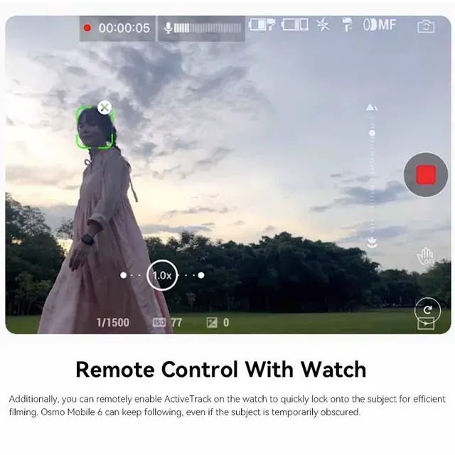 Handy-Gimbal-Stabilisator 2