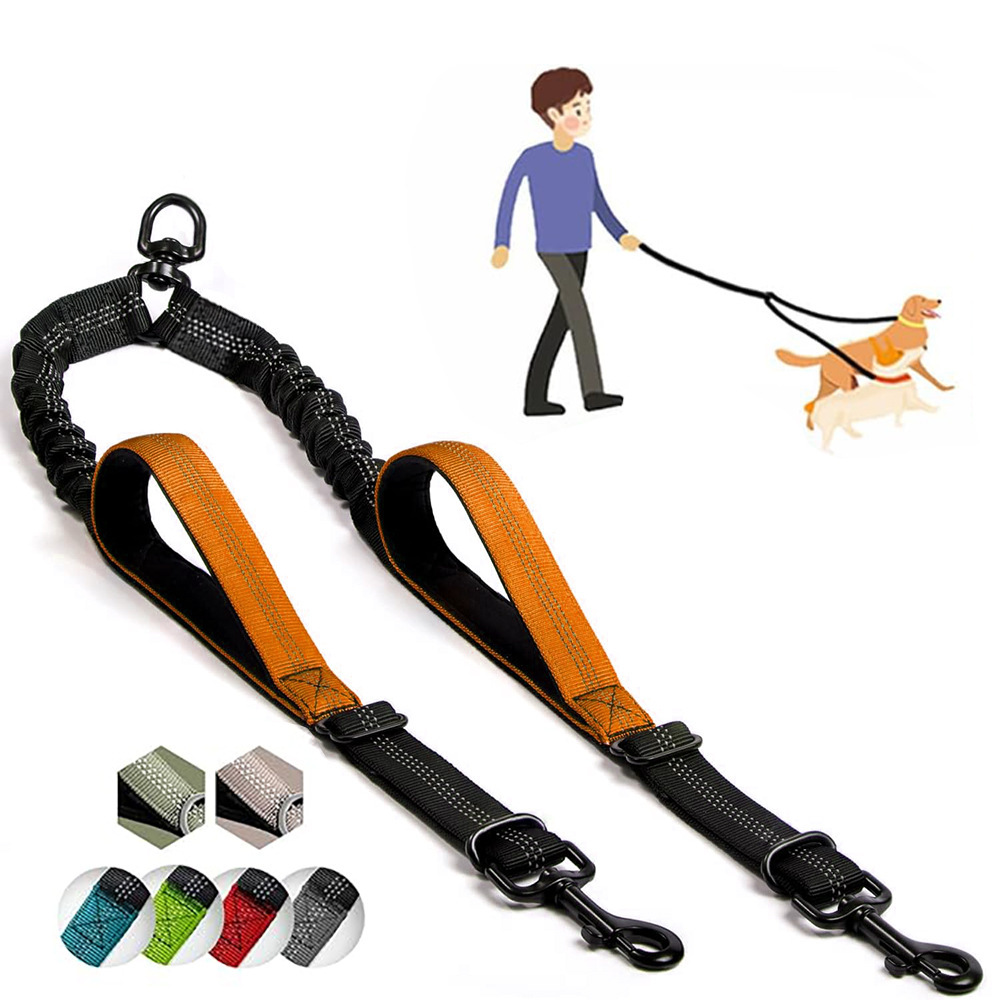 Rollleine für Hunde