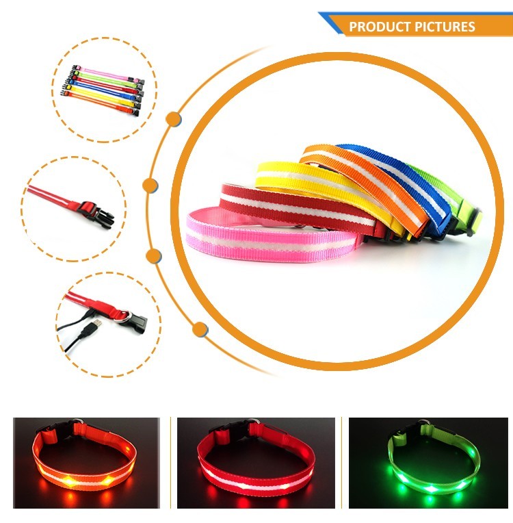 LED-Hundegurt, wiederaufladbar, leuchtend 4