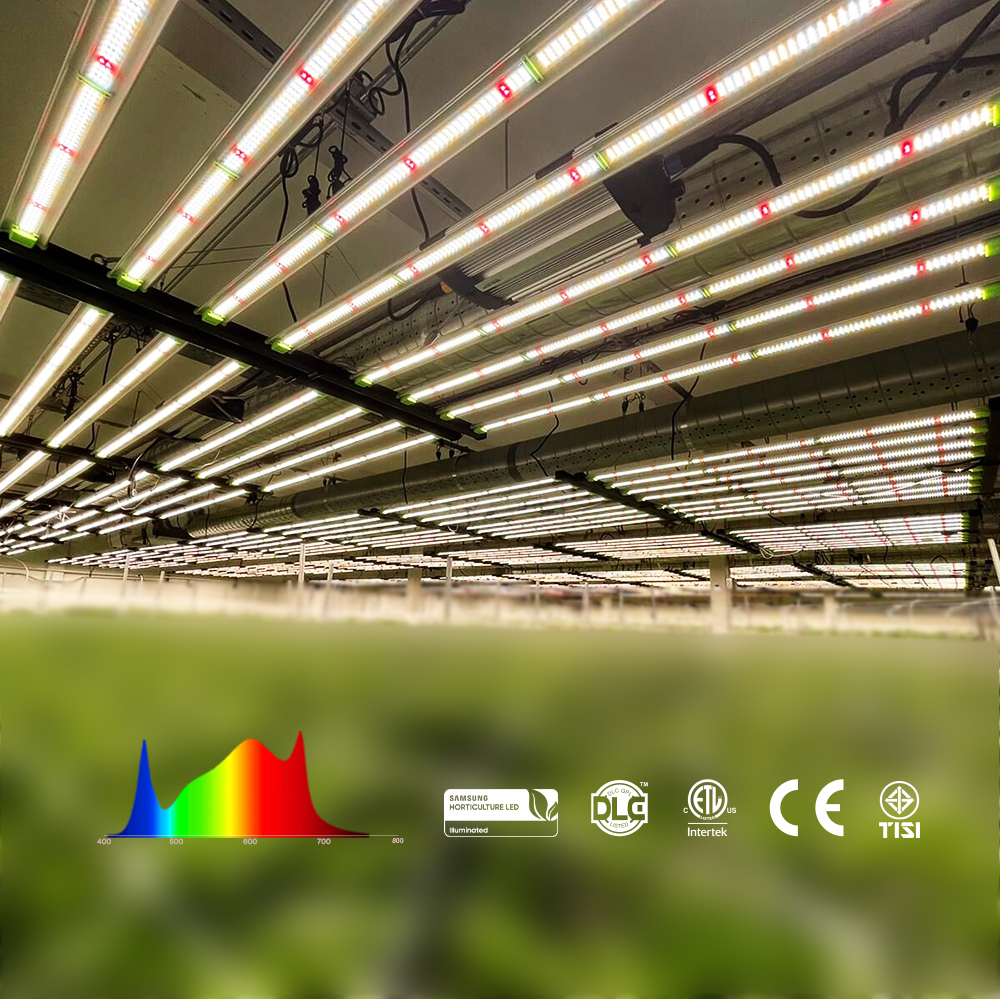 Vertikalfarm LED Pflanzenlampe 800W