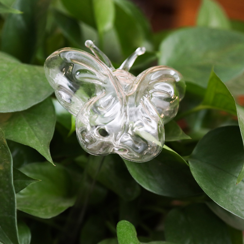 Selbstbewässernde Glaskugel für Blumentöpfe 3