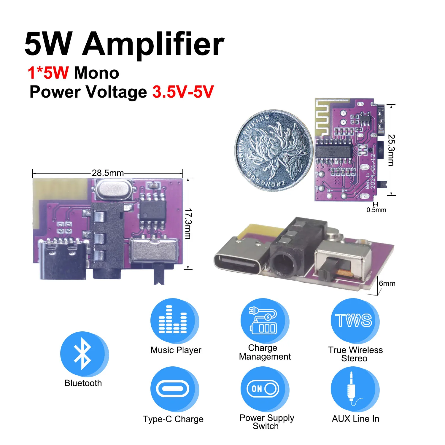 Bluetooth-Verstärkermodul 3