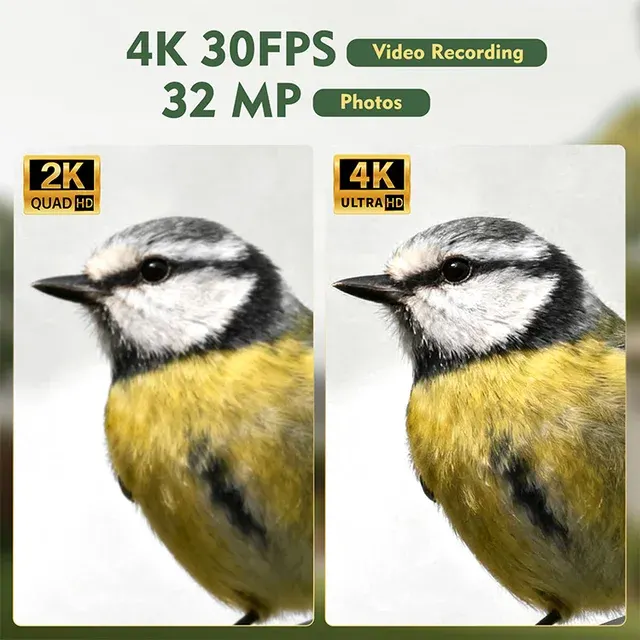 Smart Vogelfutterspender mit Kamera 3