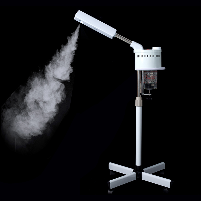 Gesichtsdampfer 2