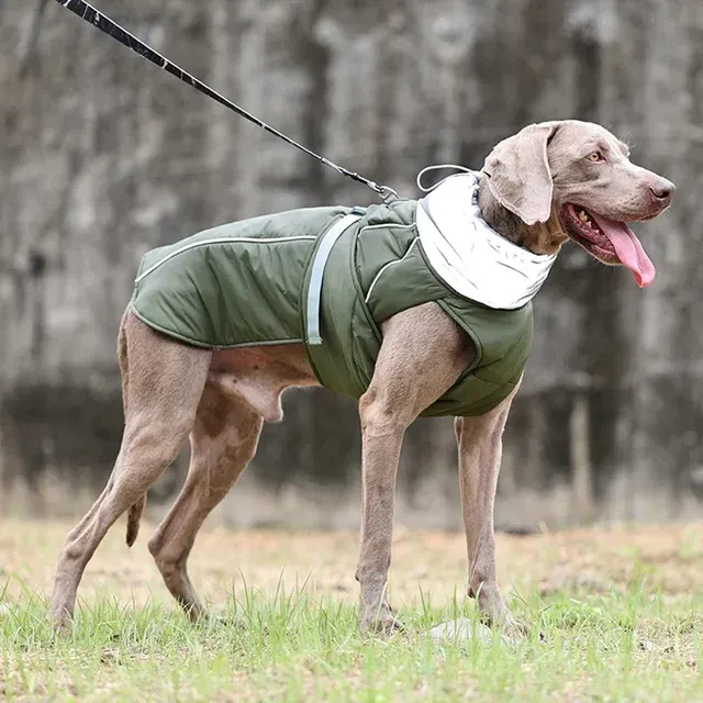 Hundejacke 2