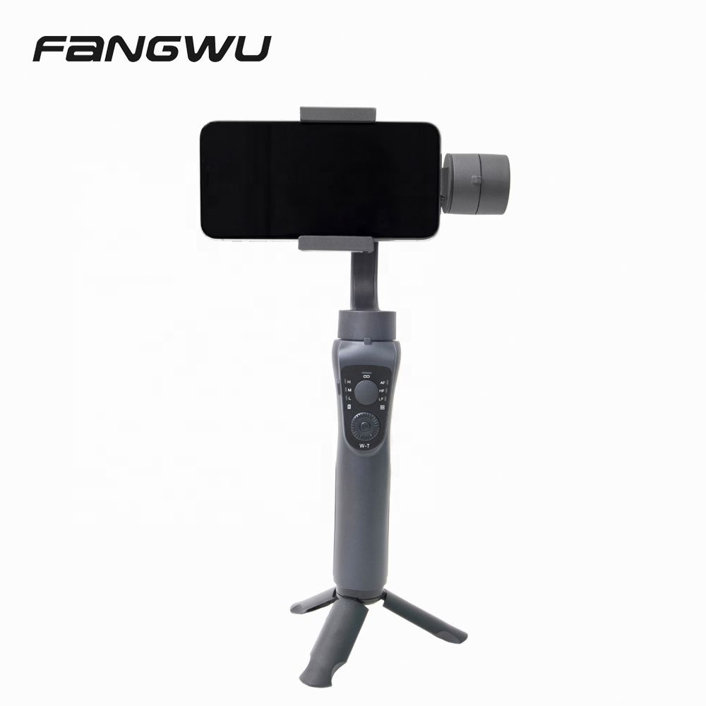 Handy-Gimbal Stabilisator