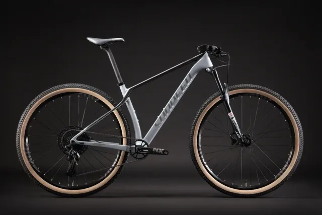 Carbon-Mountainbike 2