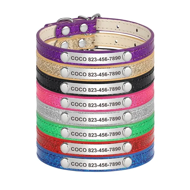 Personalisiertes Katzenhalsband 3