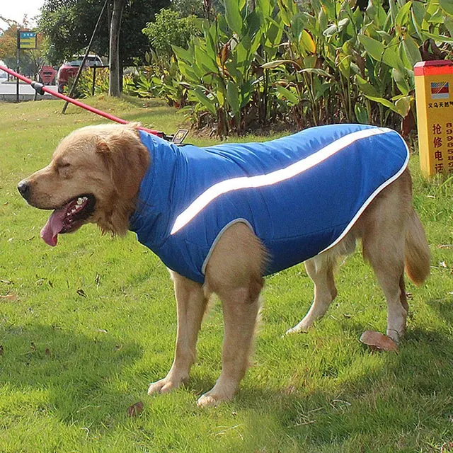 reflektierende Hundejacke 4