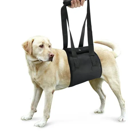 Hunde-Hüftgurt