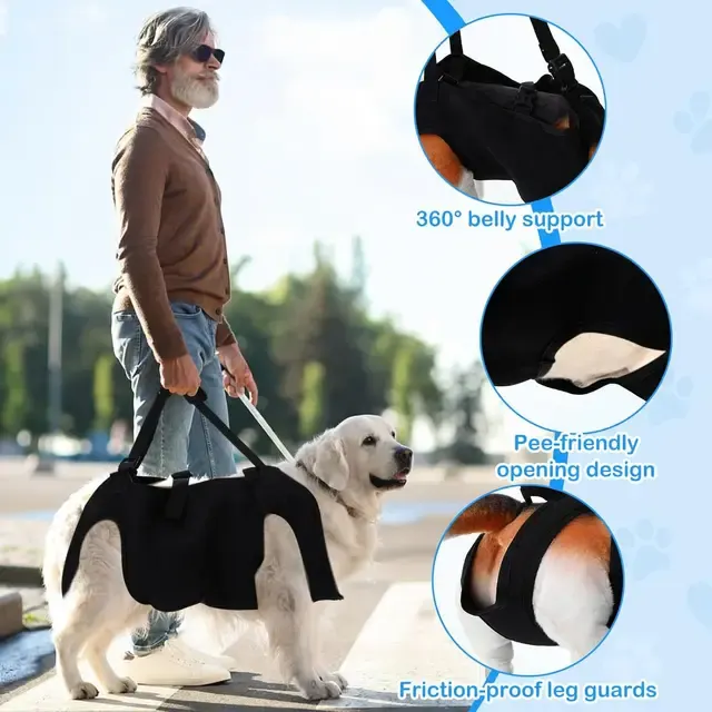 Hundegurt zum Treppensteigen 3