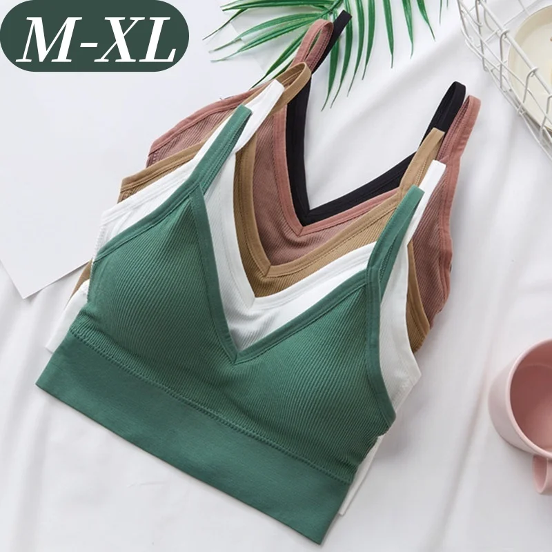 Bandeau-Top