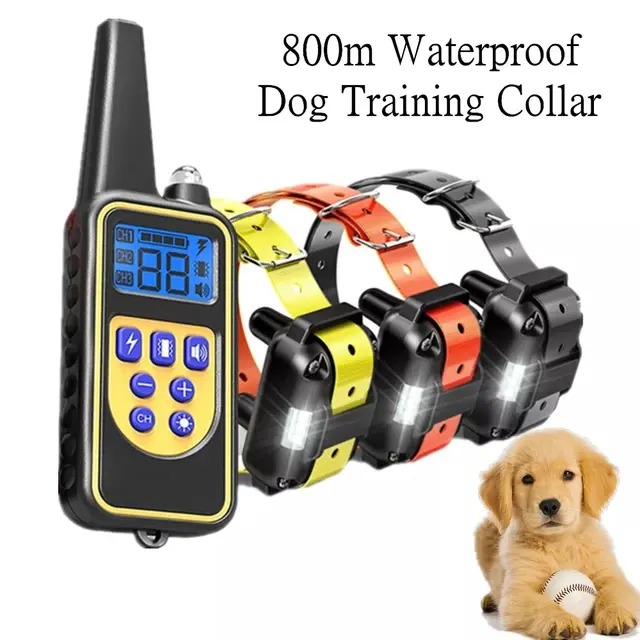 Hunde-Trainingshalsband 1