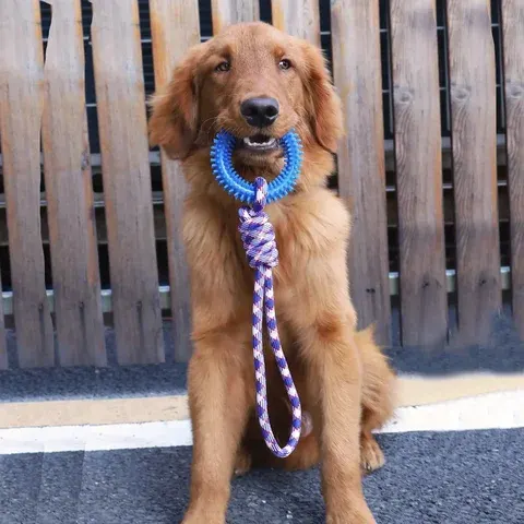 Hunde-Seilspielzeug
