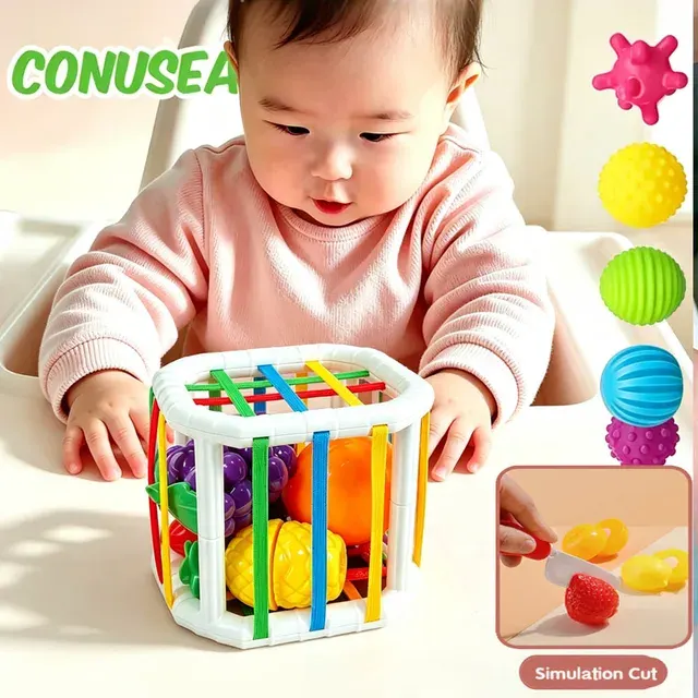 Baby-Sortierspielzeug 2