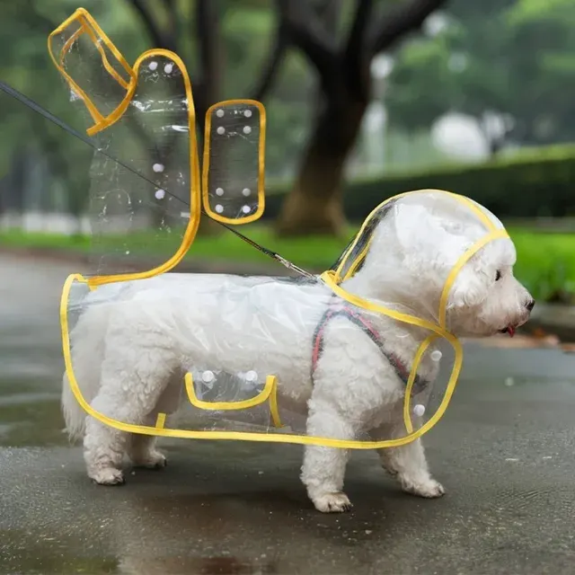 Hunde-Regenponcho 2
