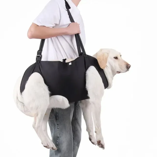 Hunde-Tragegeschirr 3