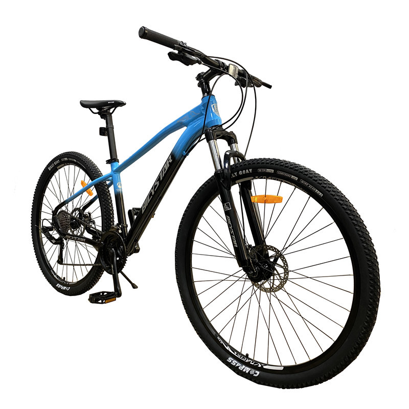 Leichter Aluminium-MTB-Rahmen 29 Zoll 3
