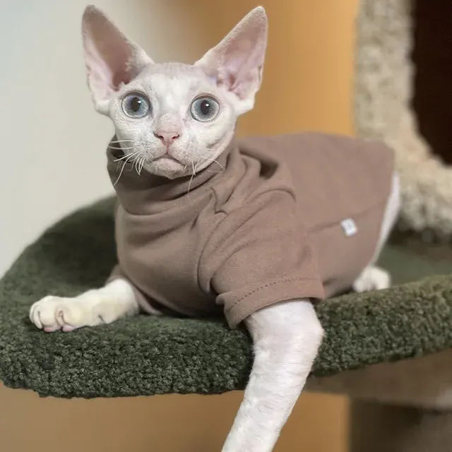 Katzenkleidung 3
