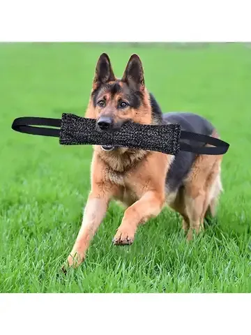 Hunde-Beißstab zum Training