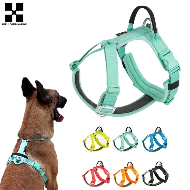 Hundegeschirr mit Leine 1