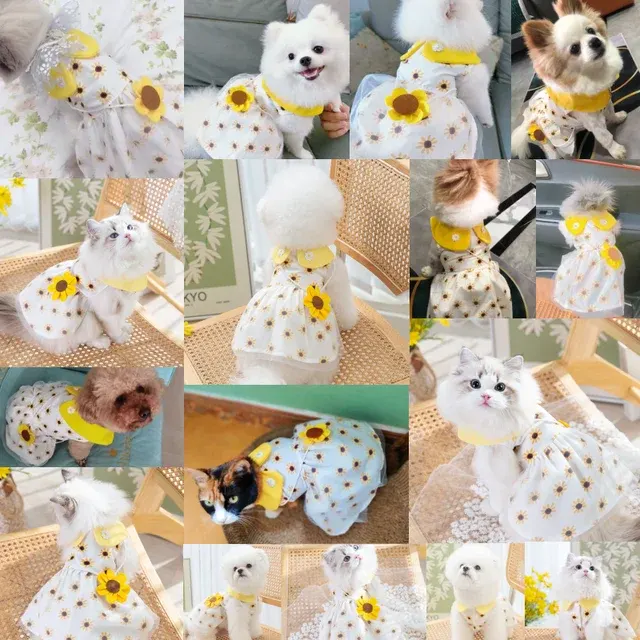 Hundekleid 2