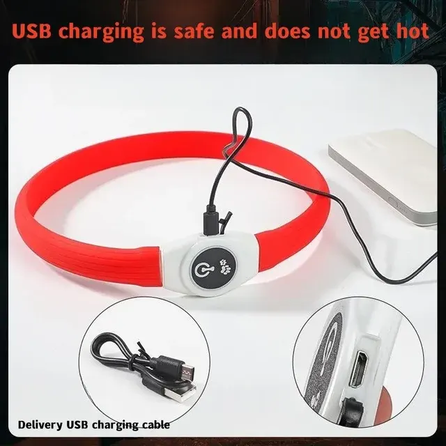 LED-Hundehalsband 4