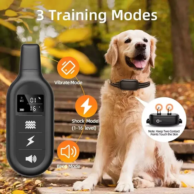 Hundetrainingshalsband 2