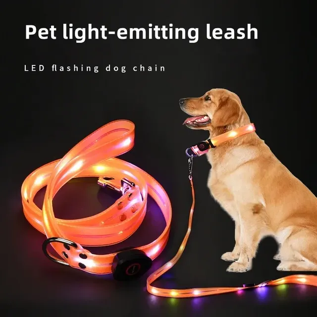 LED-Hundehalsband 2