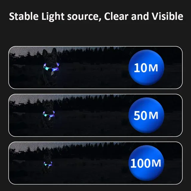 LED-Hundehalsband 4