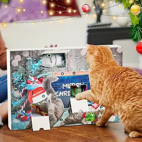 Katzen-Adventskalender