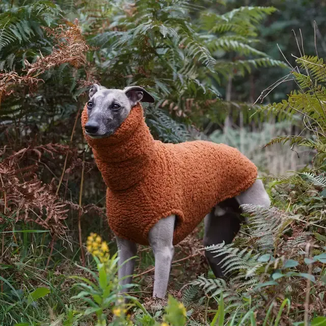 Fleece-Hundepullover 3