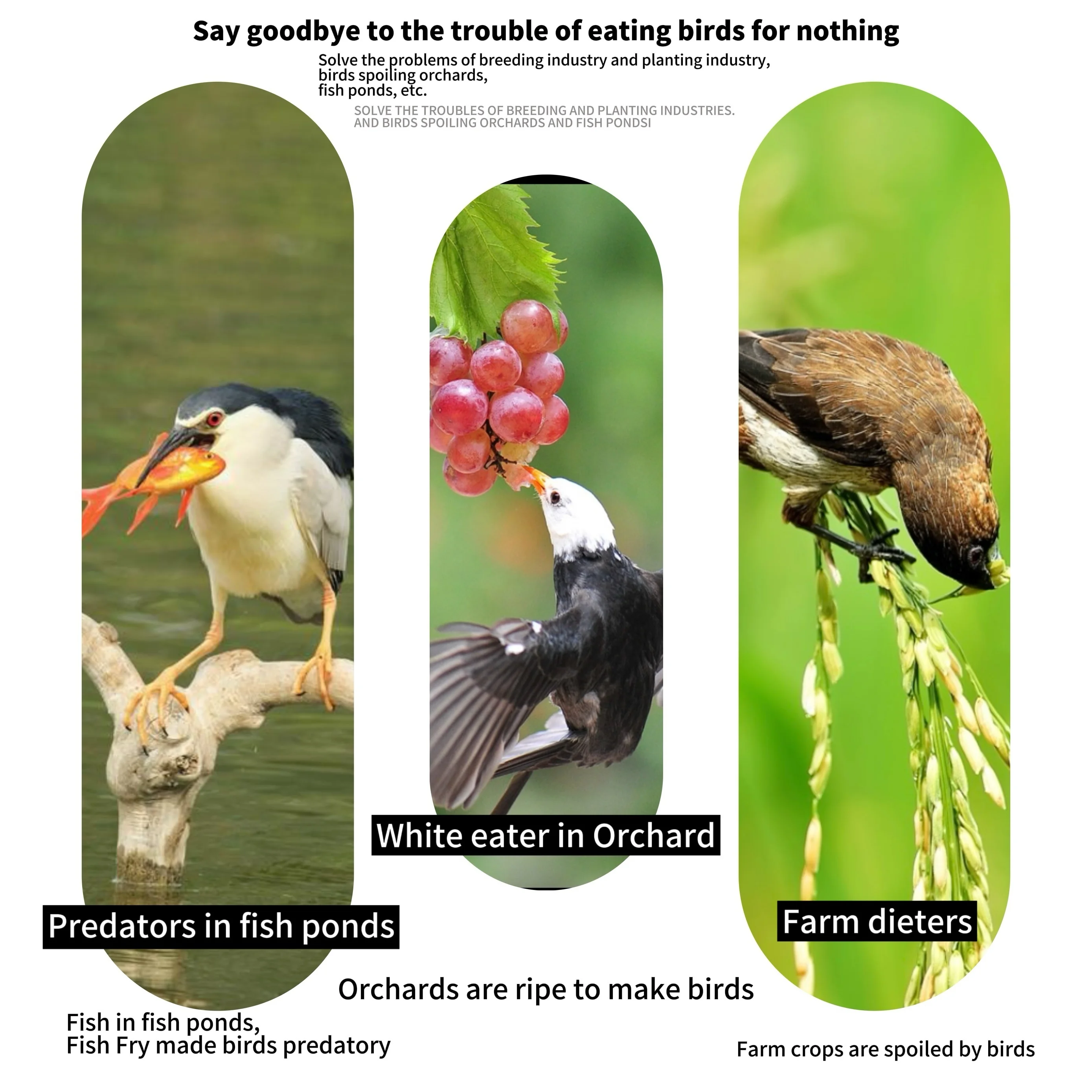Feinmaschiges Vogelschutznetz für Balkone