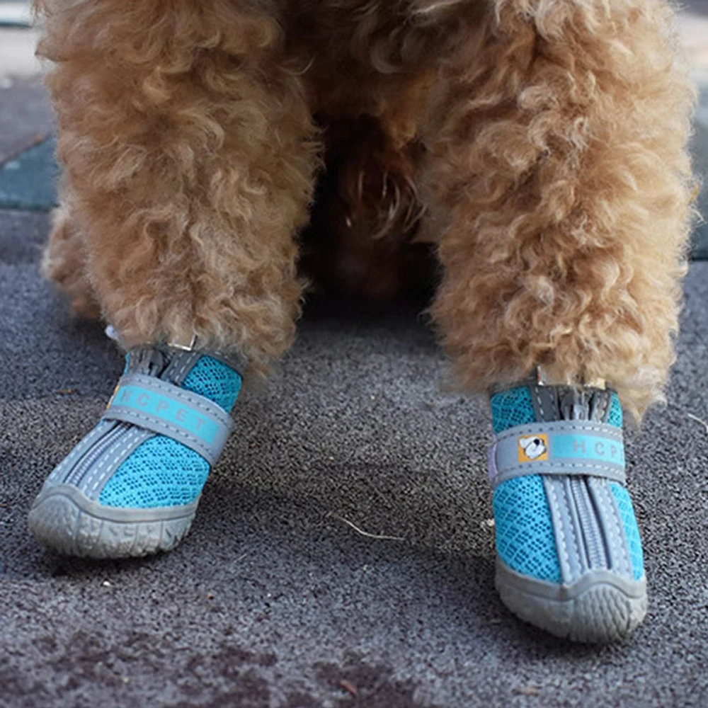 Hunde-Schneeschuhe 3